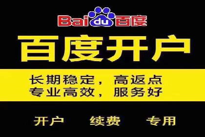 竞价广告端口开户的典型案例剖析